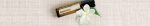 doTERRA Jasmine (Jasmin) Touch Roller (10ml) – Bild 4