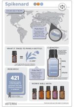 doTERRA Spikenard (Nardus) Ätherisches Öl (5ml) – Bild 4
