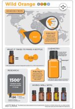 doTERRA Wild Orange (Wild Orange) Ätherisches Öl (15ml) – Bild 3