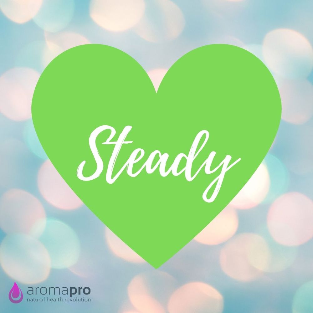 Kids Collection Steady