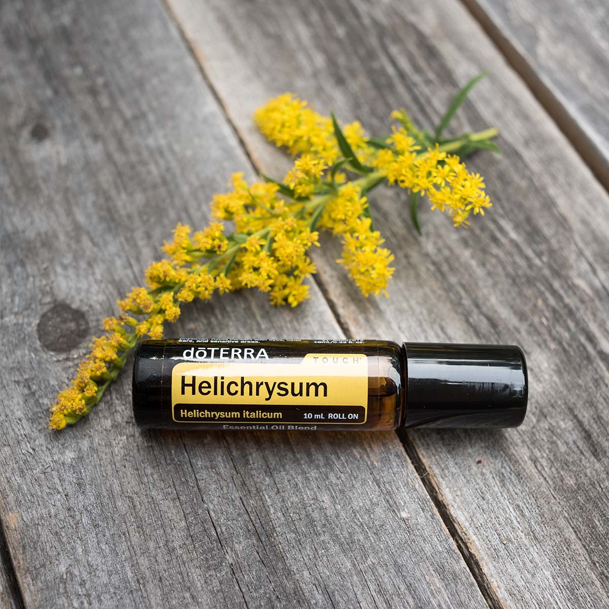 doterra-helichrysum-etheric-oil-touch-roller doTERRA Helichrysum Touch Roller (10ml) – Bild 1