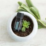 doTERRA Schwarzer Pfeffer Ätherisches Öl (5ml)