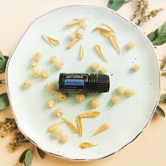 Blue-Tansy-Oil doTERRA Blue Tansy Ätherisches Öl (5ml) – Bild 1