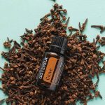 doTERRA Gewürznelke Ätherisches Öl (15ml)