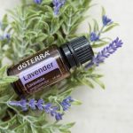 doTERRA Lavender (Lavendel) Ätherisches Öl (15ml)