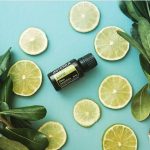 doTERRA Lime (Limette) Ätherisches Öl (15ml)