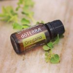 doTERRA Oregano Ätherisches Öl (15ml)