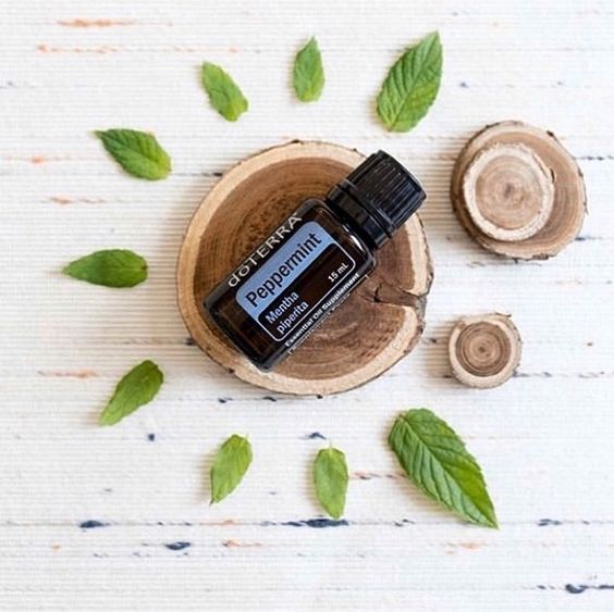 Peppermint-Oil doTERRA Pfefferminze Ätherisches Öl (15ml) – Bild 1