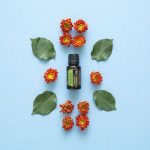 doTERRA Rosemary (Rosmarin) Ätherisches Öl (15ml)