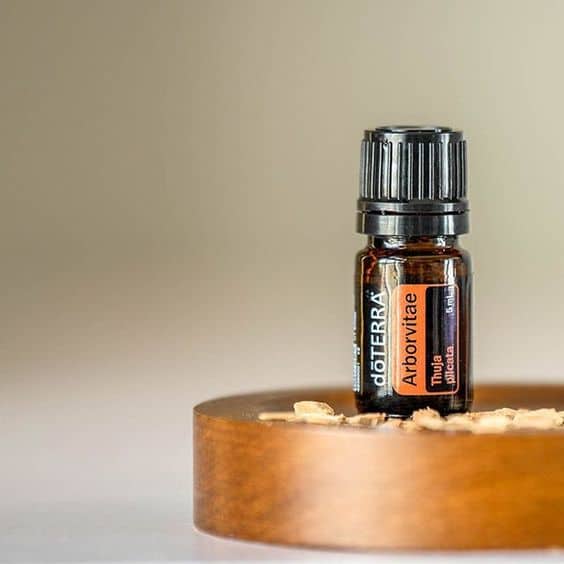 doTERRA-Arborvitae-etherische-olie doTERRA Arborvitae (Lebensbaum) Ätherisches Öl (5ml) – Bild 1