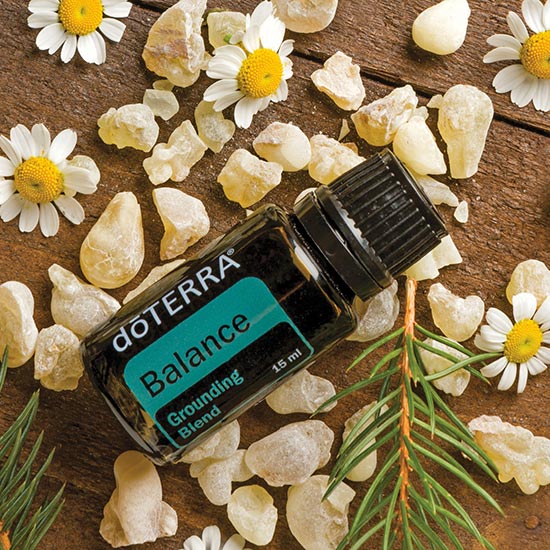 doTERRA-Balance-Grounding-Blend-Essential-Oil-product-web doTERRA Balance Erdende Mischung (15ml) – Bild 1