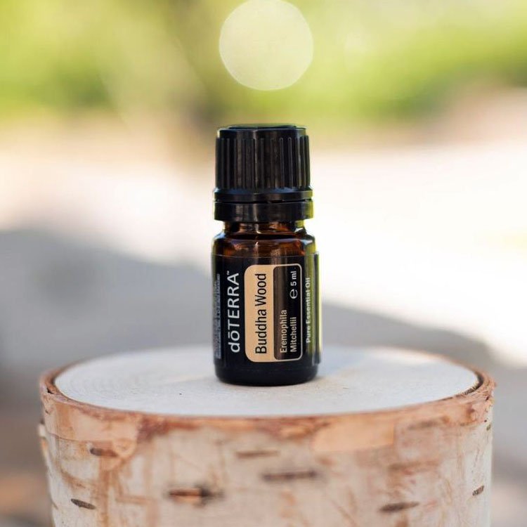 doTERRA-Buddha-Wood-Essential-Oil-product doTERRA Buddha Wood Ätherisches Öl (5ml) – Bild 1