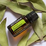 doTERRA Lemon Eucalyptus (Zitroneneukalyptus) Ätherisches Öl (15ml)