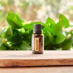 doTERRA MetaPWR Ätherisches Öl 15ml